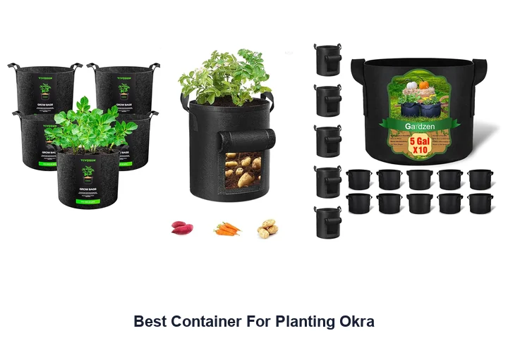 Best Okra Containers: Top Picks Now Best Container For Planting Okra