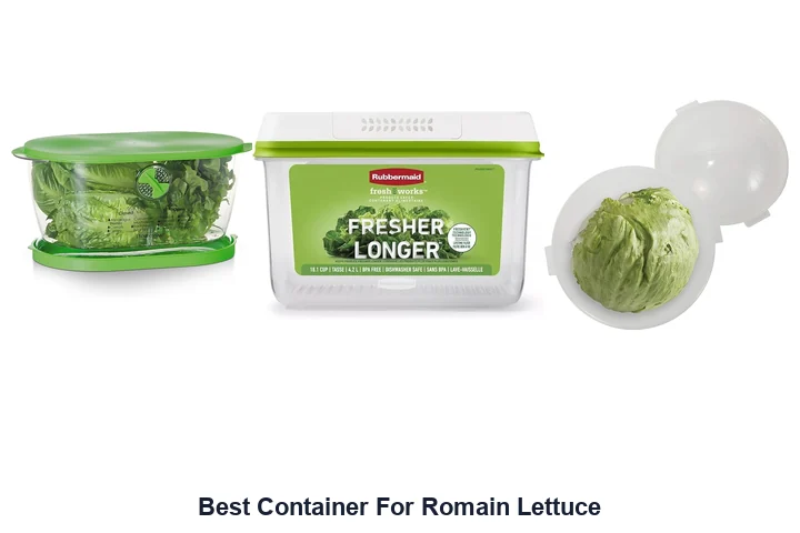 Best Containers for Romaine Lettuce: Top Picks Best Container For Romain Lettuce