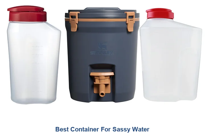 Best Container For Sassy Water: Top Picks Best Container For Sassy Water