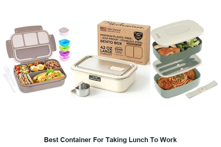 Best Lunch Containers: Top Picks for Work Best Container For Taking Lunch To Work