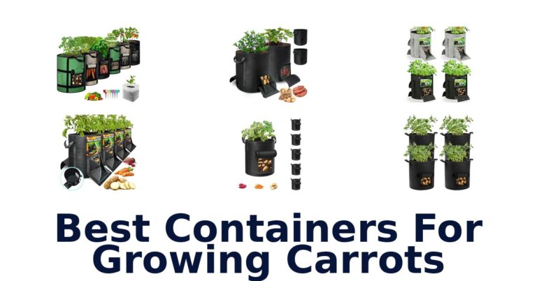 BEST Containers for Growing Carrots: Top 10 Picks best containers for growing carrots