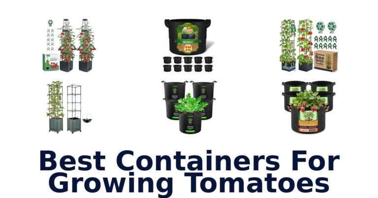BEST Tomato Containers: Top 10 Picks for Your Garden best containers for growing tomatoes