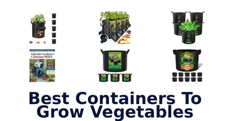 BEST Containers to Grow Vegetables: Top 10 Picks best containers to grow vegetables