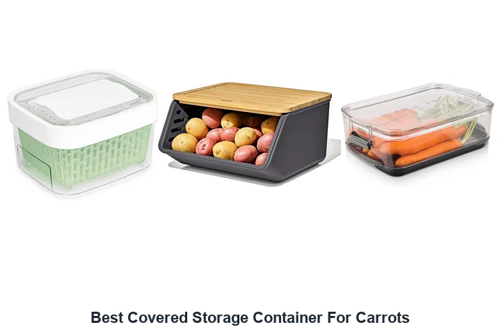 Best Covered Storage for Carrots: Top Picks Best Covered Storage Container For Carrots