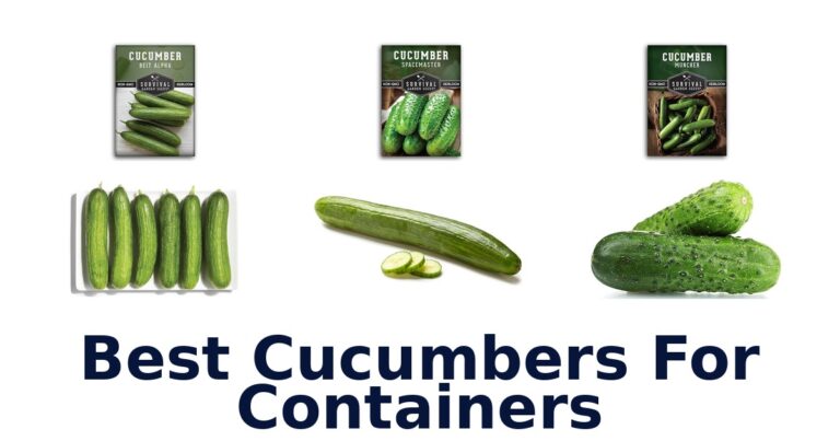 Best Cucumbers for Containers: Top 10 Picks! best cucumbers for containers