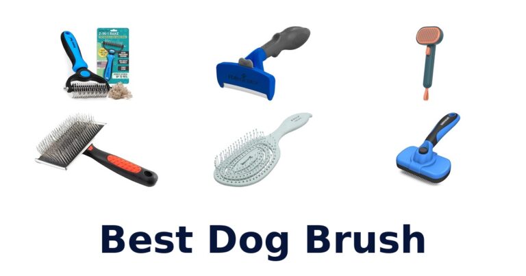 BEST Dog Brushes: Top 10 Picks for Your Pup! best dog brush