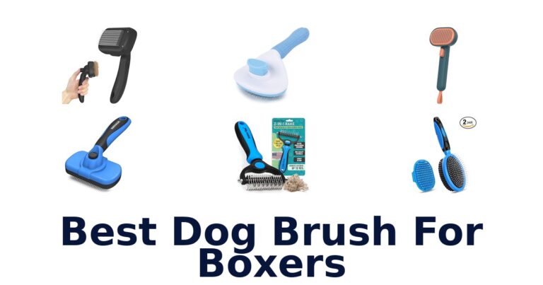 Best Dog Brush for Boxers: Top 10 Picks Revealed! best dog brush for boxers
