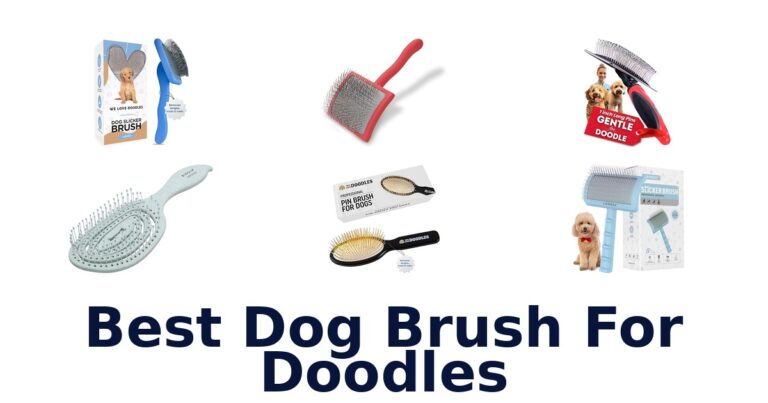 BEST Dog Brushes for Doodles: Top 10 Picks best dog brush for doodles