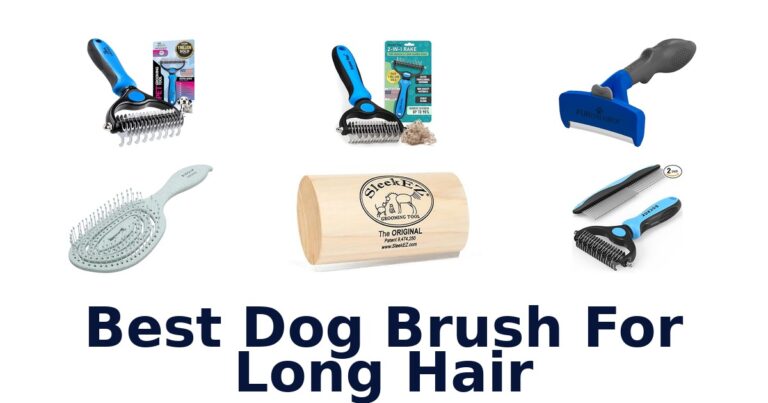 BEST Dog Brushes for Long Hair: Top 10 Picks! best dog brush for long hair
