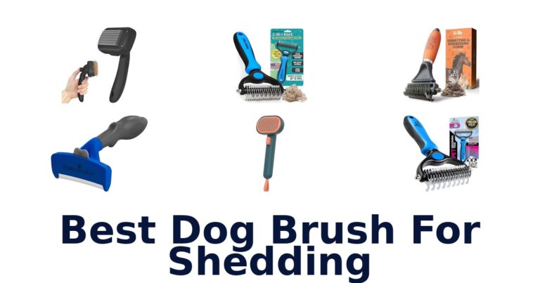 BEST Dog Brushes for Shedding: Top 10 Picks best dog brush for shedding