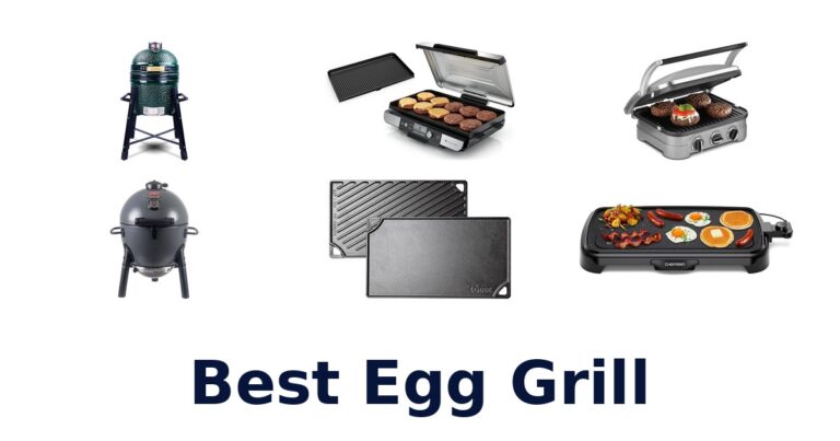 Best Egg Grill Options: Top 10 Picks best egg grill