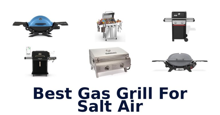 Best Gas Grills for Salt Air: Top 10 Picks best gas grill for salt air