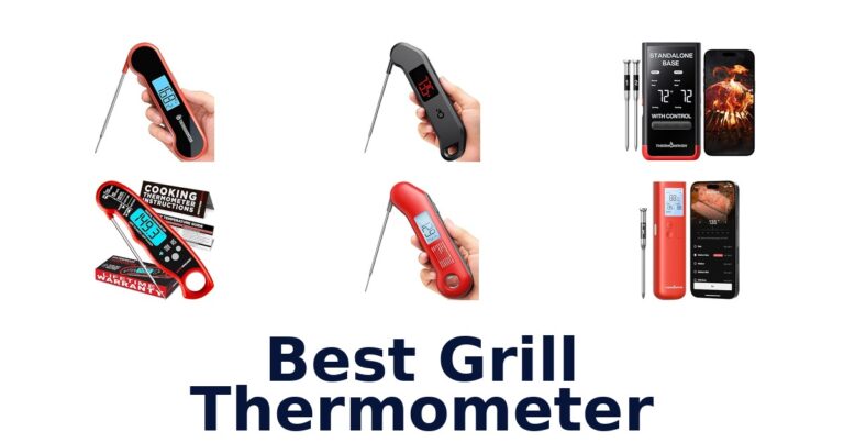 Best Grill Thermometers: Top 10 Picks best grill thermometer