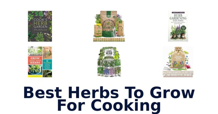 BEST Herbs to Grow for Cooking: Top 10 Picks best herbs to grow for cooking