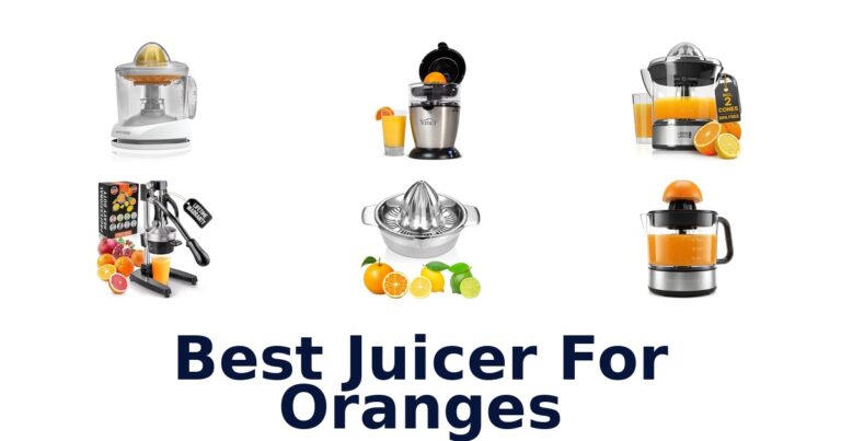 Best Orange Juicers: 10 Top Picks for Citrus Lovers best juicer for oranges