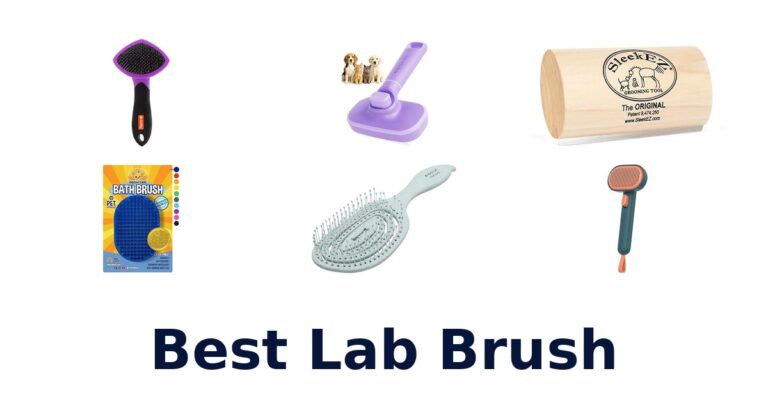 BEST Lab Brush: Top 10 Picks for 2026 best lab brush