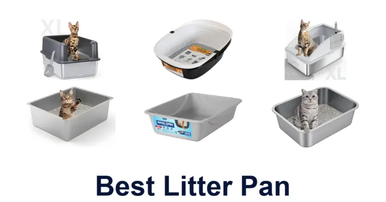 BEST Litter Pans: Top 10 Picks for Your Cat best litter pan