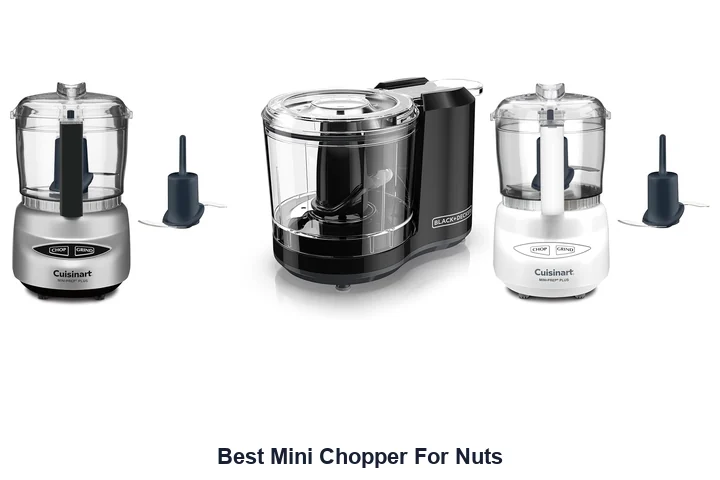 Best Mini Chopper For Nuts: Top Picks Best Mini Chopper For Nuts