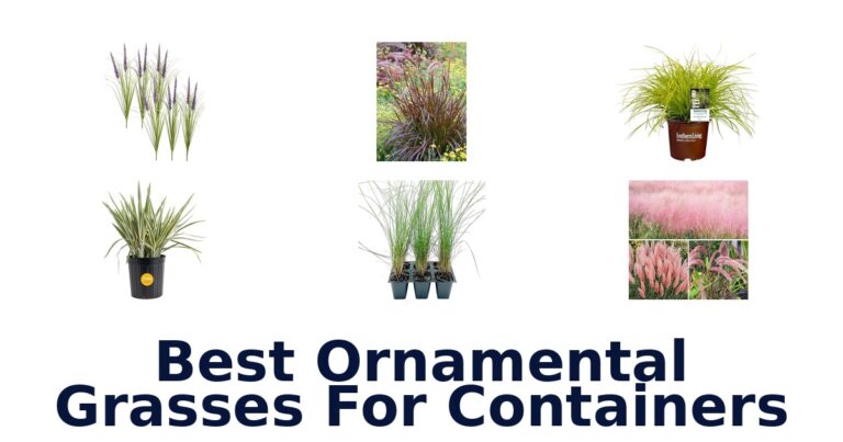 Best Ornamental Grasses for Containers: Top 10 Picks best ornamental grasses for containers