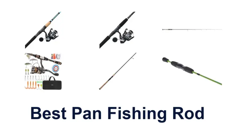 Best Pan Fishing Rods: Top 10 Picks for Anglers best pan fishing rod