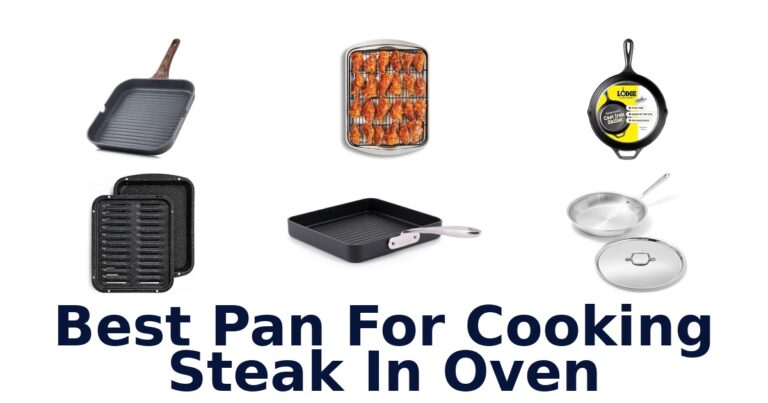 Best Pans for Cooking Steak in Oven best pan for cooking steak in oven