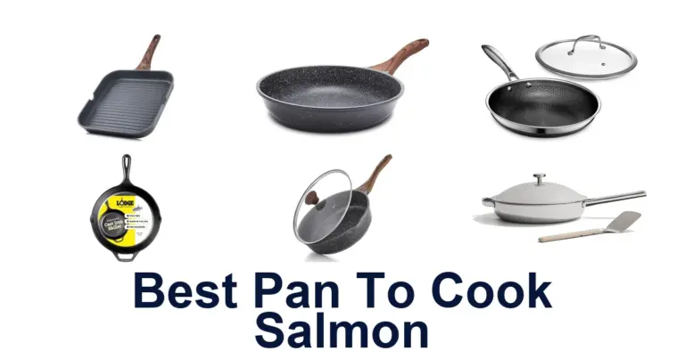 BEST Pans to Cook Salmon: Top 10 Picks best pan to cook salmon