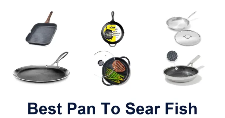Best Pans for Searing Fish: Top 10 Picks best pan to sear fish