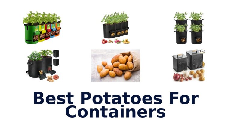 Best Potatoes for Containers: Top 10 Picks best potatoes for containers
