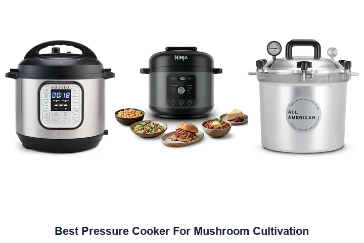 Best Pressure Cooker for Mushroom Cultivation: Top Picks Best Pressure Cooker For Mushroom Cultivation