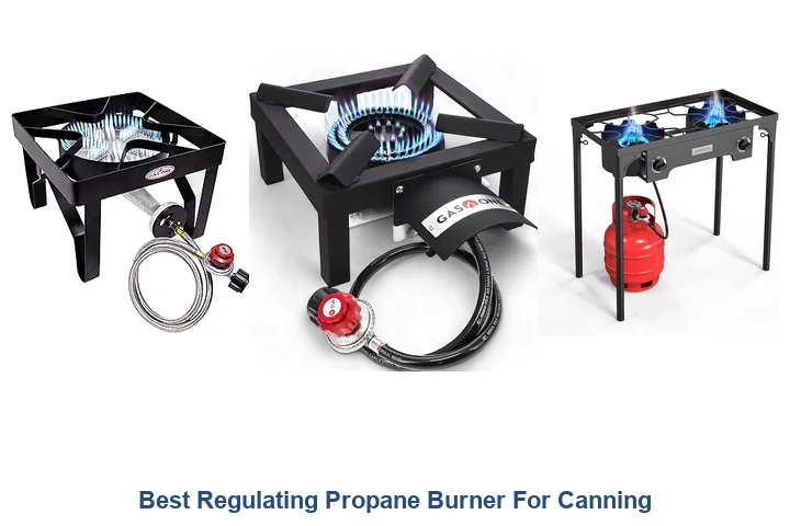 Best Regulating Propane Burners: Top Picks Best Regulating Propane Burner For Canning