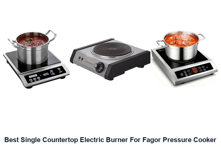 Best Single Countertop Burner for Fagor Cookers Best Single Countertop Electric Burner For Fagor Pressure Cooker