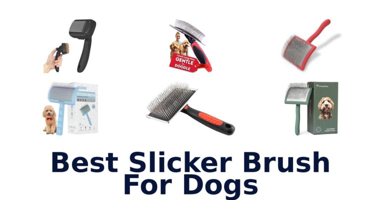 Best Slicker Brush for Dogs: Top 10 Picks best slicker brush for dogs