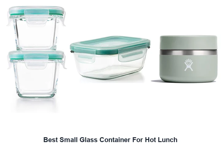 Best Small Glass Containers: Top Lunch Picks Best Small Glass Container For Hot Lunch
