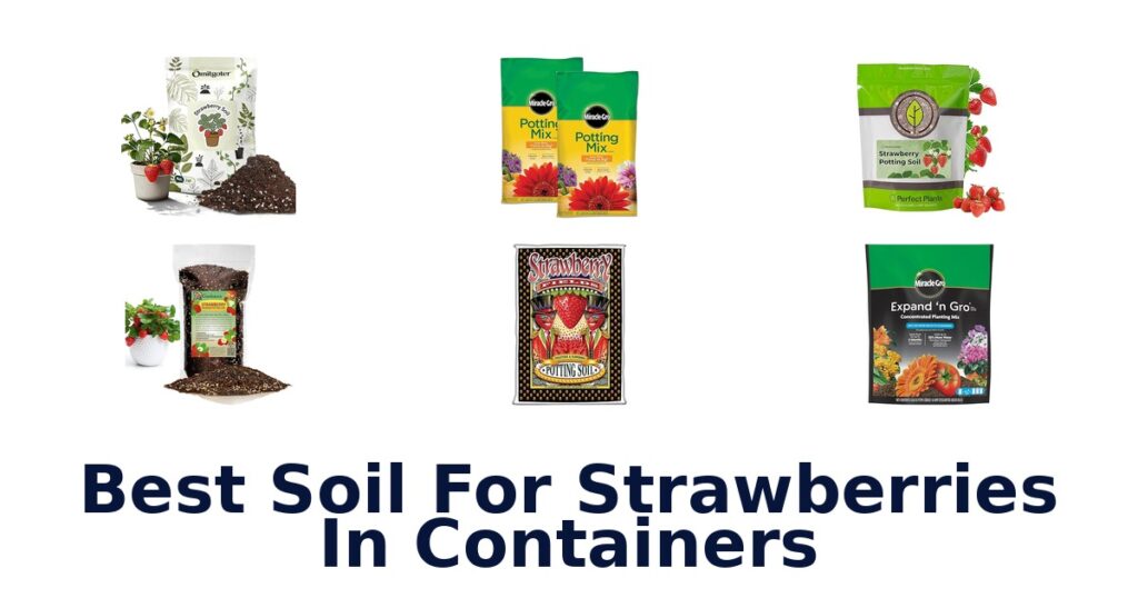 Best Soil for Strawberries in Containers: Top 10 Picks - Sabor Mexicana