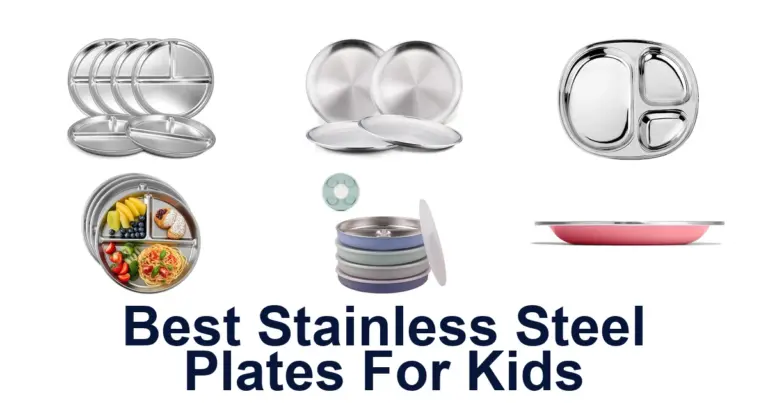 Best Stainless Steel Plates for Kids: Top 10 Picks best stainless steel plates for kids