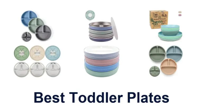 Best Toddler Plates: Top 10 Picks for Mess-Free Meals best toddler plates