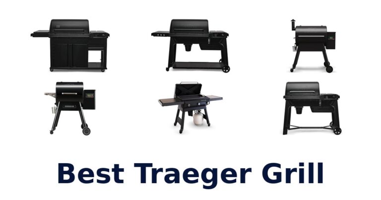 Best Traeger Grills: Top 10 Wood Pellet Champion Picks best traeger grill