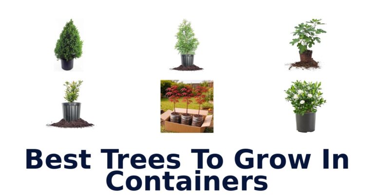 Best Container Trees: Top 10 Picks for Your Patio best trees to grow in containers