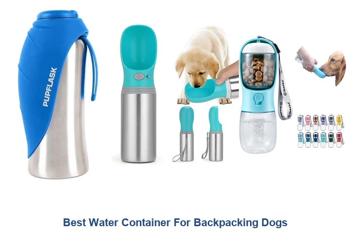 Best Water Containers for Backpacking Dogs: Top Picks Best Water Container For Backpacking Dogs