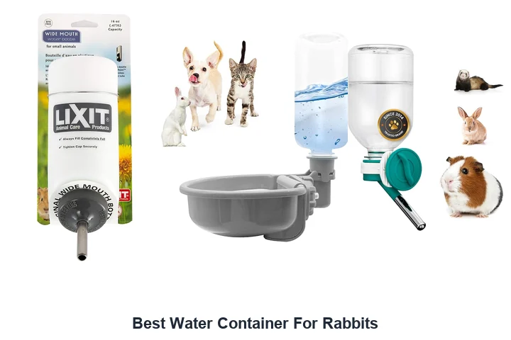 Best Water Container For Rabbits: Top Picks Best Water Container For Rabbits
