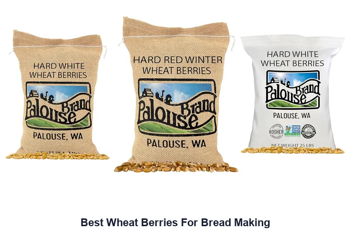 Best Wheat Berries for Baking: Top Picks Best Wheat Berries For Bread Making