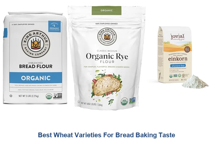 Best Wheat Varieties: Top Bread Baking Picks Best Wheat Varieties For Bread Baking Taste
