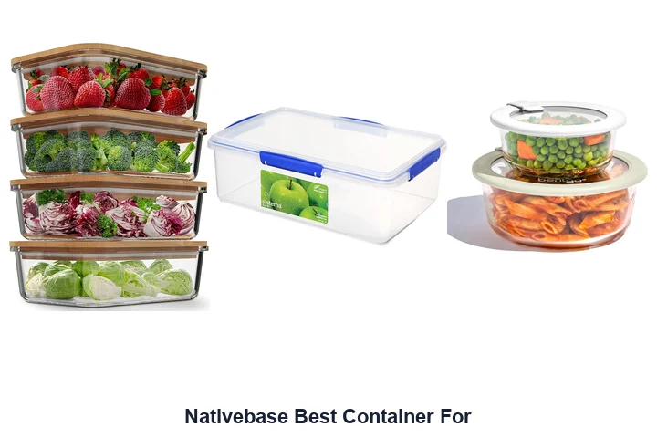 Nativebase Best Container: Top Picks for 2026 Nativebase Best Container For