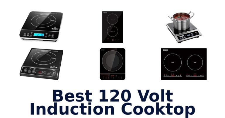 BEST 120V Induction Cooktops: Top 10 Picks! best 120 volt induction cooktop