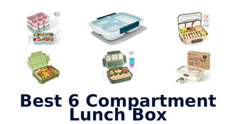 best 6 compartment lunch box