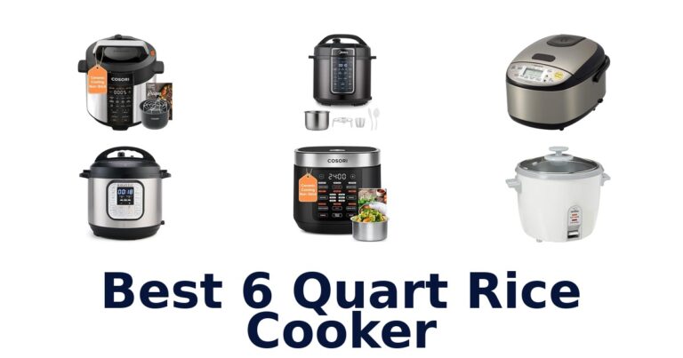 best 6 quart rice cooker