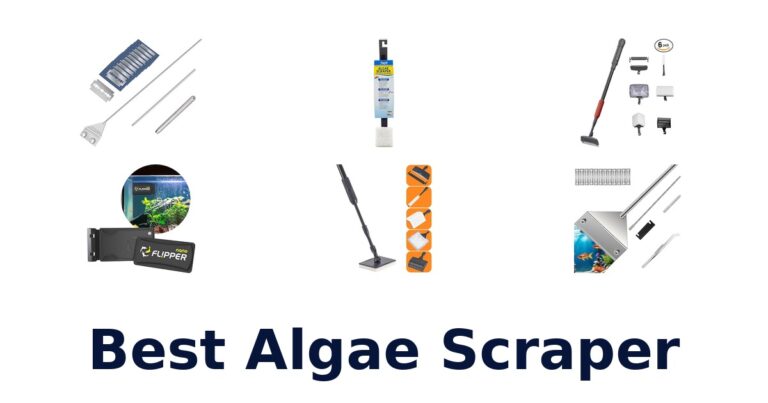 Best Algae Scrapers: Top 10 Picks for Crystal Tanks best algae scraper