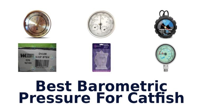 Best Barometric Pressure for Catfish: Top 10 Picks best barometric pressure for catfish