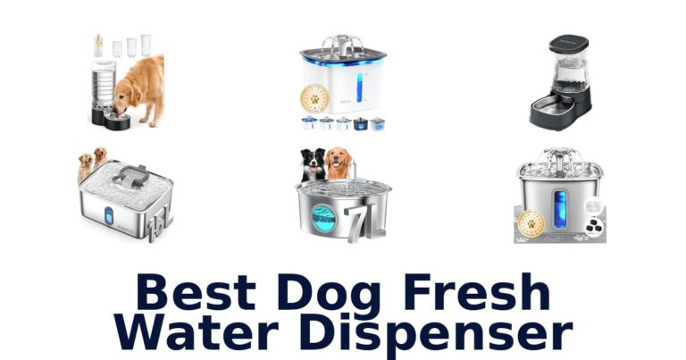 Best Dog Fresh Water Dispenser: Top 10 Picks best dog fresh water dispenser