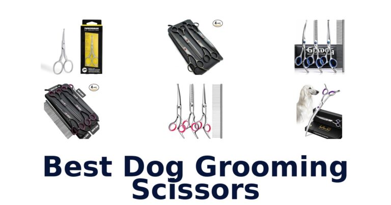 best dog grooming scissors